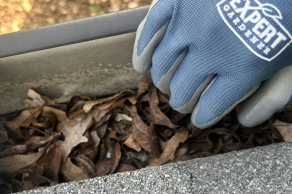 Gutter Cleaning Gaston