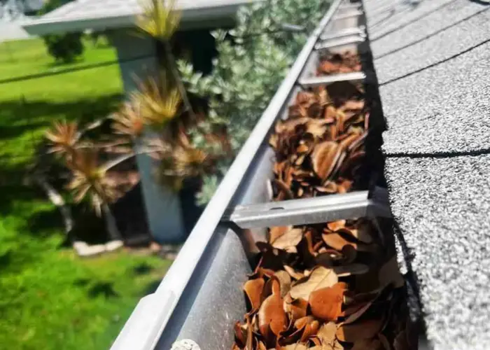 Gutter Cleaning Gaston home page